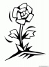 dibujo-flores-rosas-029