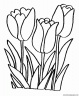 dibujo-flores-tulipanes-001
