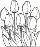 dibujo-flores-tulipanes-003