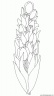 dibujo-flores-tulipanes-009