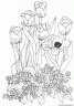 dibujo-flores-tulipanes-011