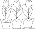 dibujo-flores-tulipanes-016