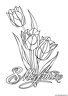 dibujo-flores-tulipanes-023
