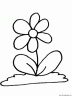 dibujo-flores-varios-011