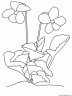 dibujo-flores-varios-017