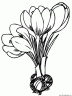dibujo-flores-varios-022
