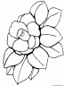 dibujo-flores-varios-030