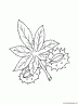 dibujo-arboles-hojas-011