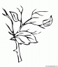 dibujo-arboles-hojas-014