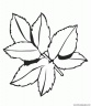 dibujo-arboles-hojas-016