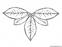 dibujo-arboles-hojas-017