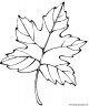 dibujo-arboles-hojas-018