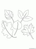 dibujo-arboles-hojas-037