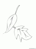 dibujo-arboles-hojas-038