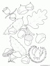 dibujo-arboles-hojas-040