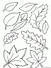dibujo-arboles-hojas-042