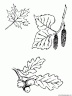 dibujo-arboles-hojas-043