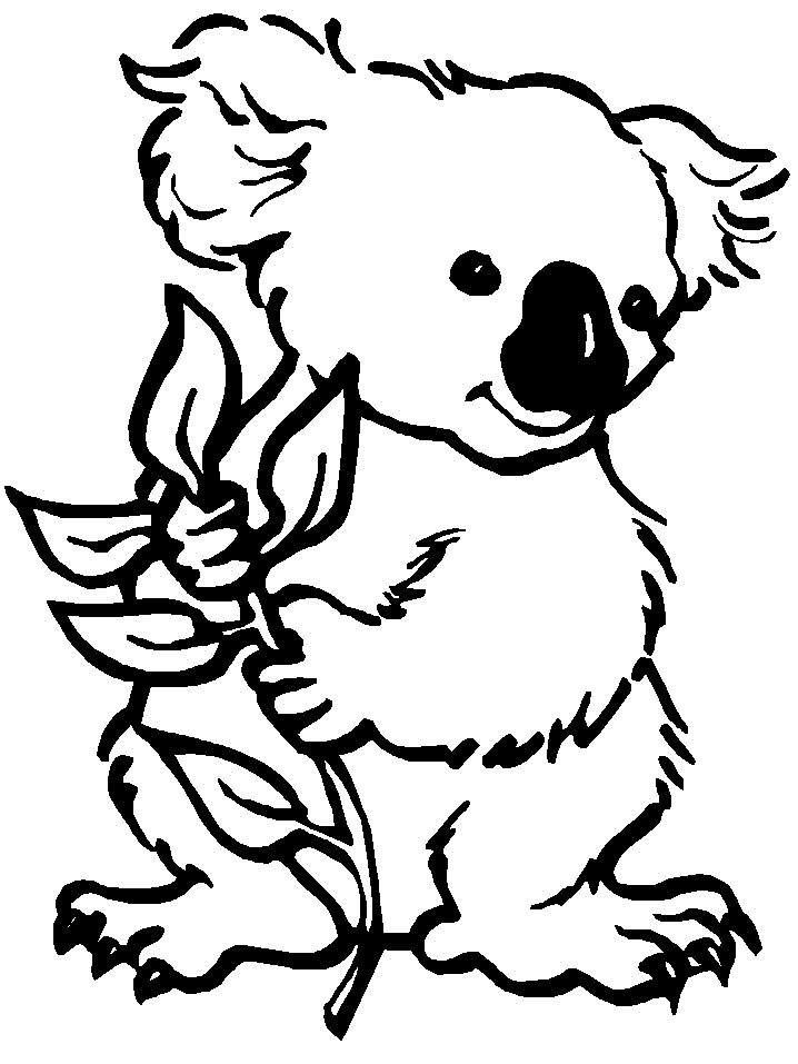 dibujo-de-koala-015.gif