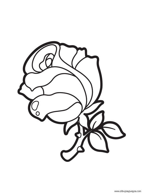 dibujo-flores-rosas-000.jpg
