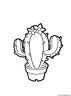 plantas-cactus-02