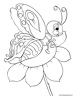 dibujo-de-mariposa-125