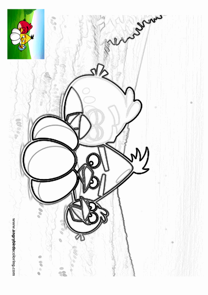 angry-birds-seasons-for-coloring-01