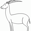 dibujo-de-antilope-02