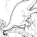 dibujo-de-dinosaurio-070