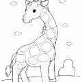 dibujo-de-girafa-017