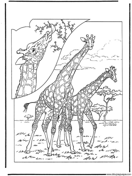 dibujo-de-girafa-047.jpg