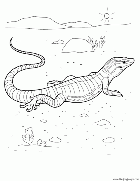 dibujo-de-lagartos-003.gif