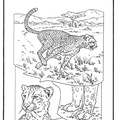 dibujo-de-leopardo-002