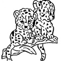 dibujo-de-leopardo-004