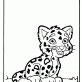 dibujo-de-leopardo-007