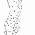 dibujo-de-leopardo-015