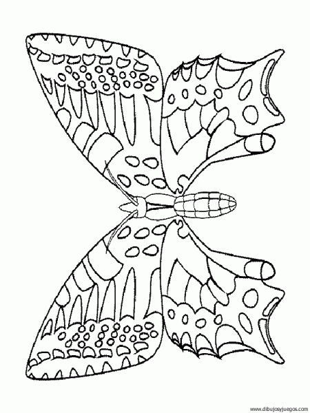 dibujo-de-mariposa-028.gif