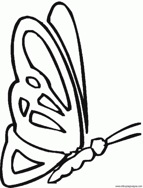 dibujo-de-mariposa-032.gif