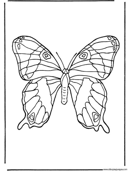 dibujo-de-mariposa-036.jpg