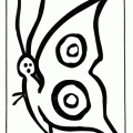dibujo-de-mariposa-037