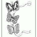 dibujo-de-mariposa-038