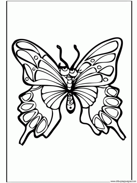 dibujo-de-mariposa-039.gif