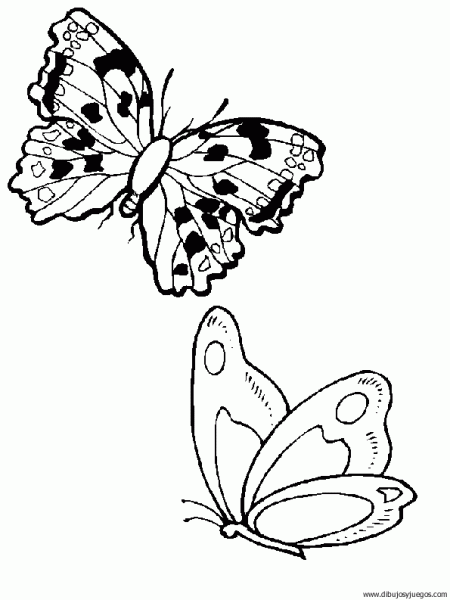 dibujo-de-mariposa-048.gif