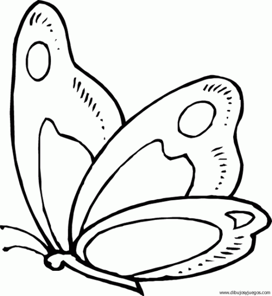 dibujo-de-mariposa-050.gif