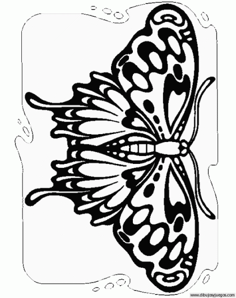 dibujo-de-mariposa-061.gif