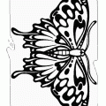 dibujo-de-mariposa-061