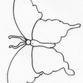 dibujo-de-mariposa-089
