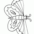 dibujo-de-mariposa-091