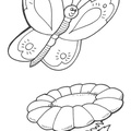 dibujo-de-mariposa-105