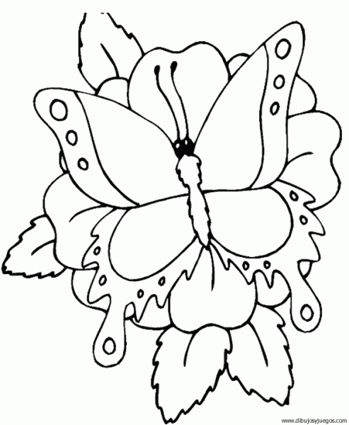 dibujo-de-mariposa-108.gif