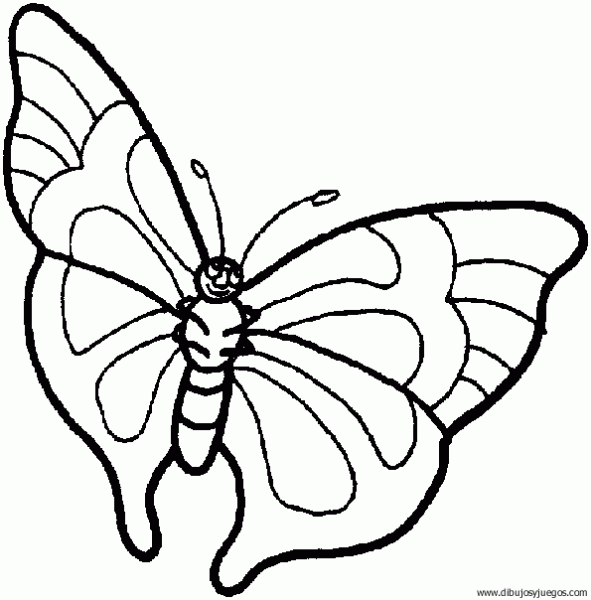 dibujo-de-mariposa-113.gif